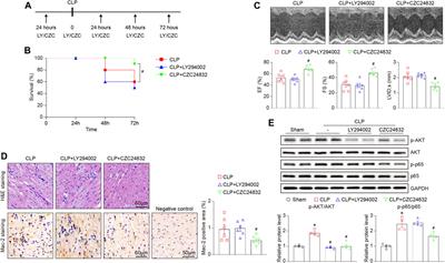 Time Series Transcriptomic Analysis by RNA Sequencing Reveals a Key Role of PI3K in Sepsis-Induced Myocardial Injury in Mice